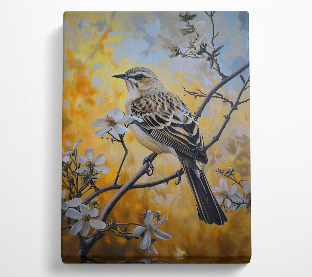  A Canvas Print of Golden Bird In Bloom Canvas Print