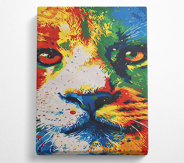 Yellow Feline Gaze