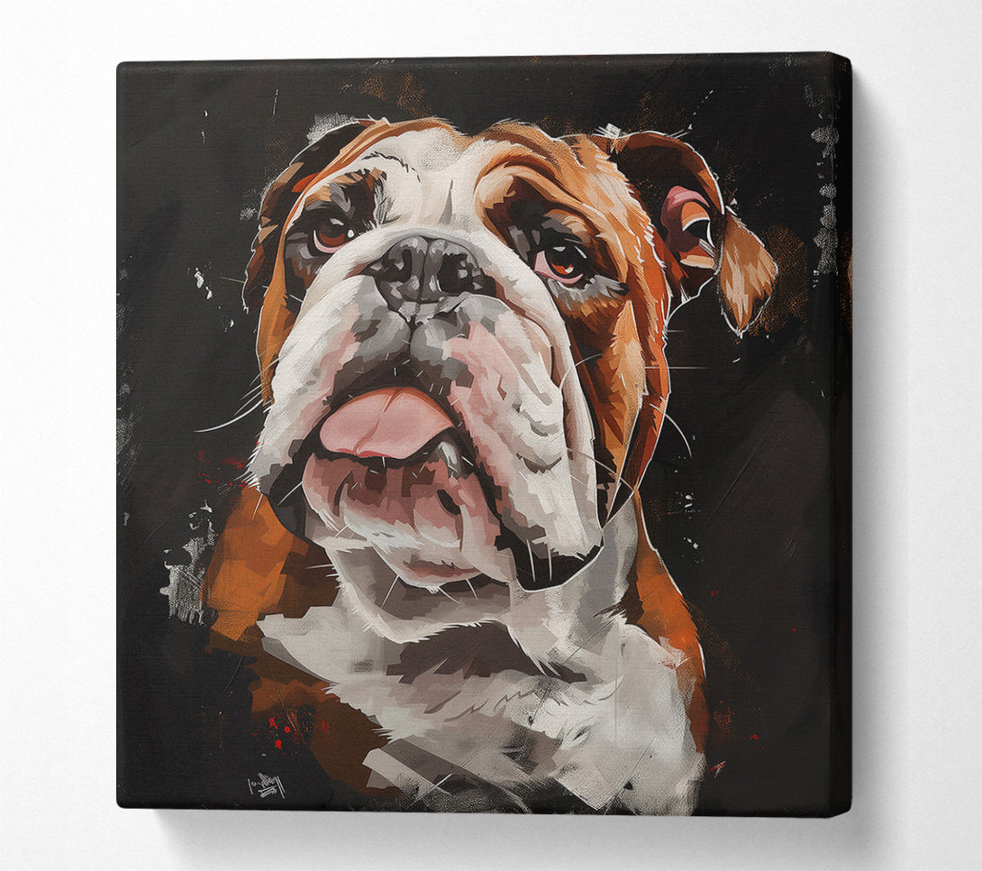  A Canvas Print of Brown Bulldog Gaze Canvas Print
