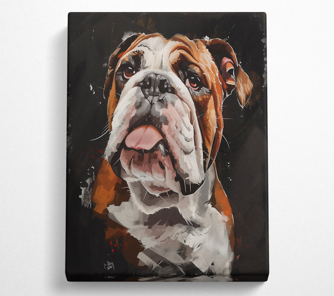 A Canvas Print of Brown Bulldog Gaze Canvas Print