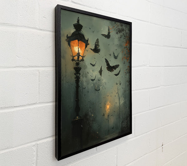 Grey Night Moths