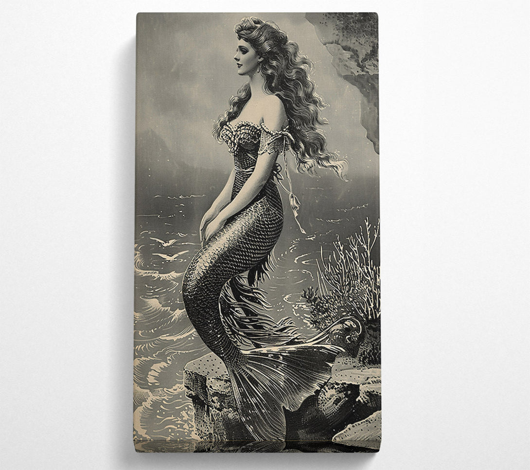  A Canvas Print of Silver-Scaled Siren Canvas Art