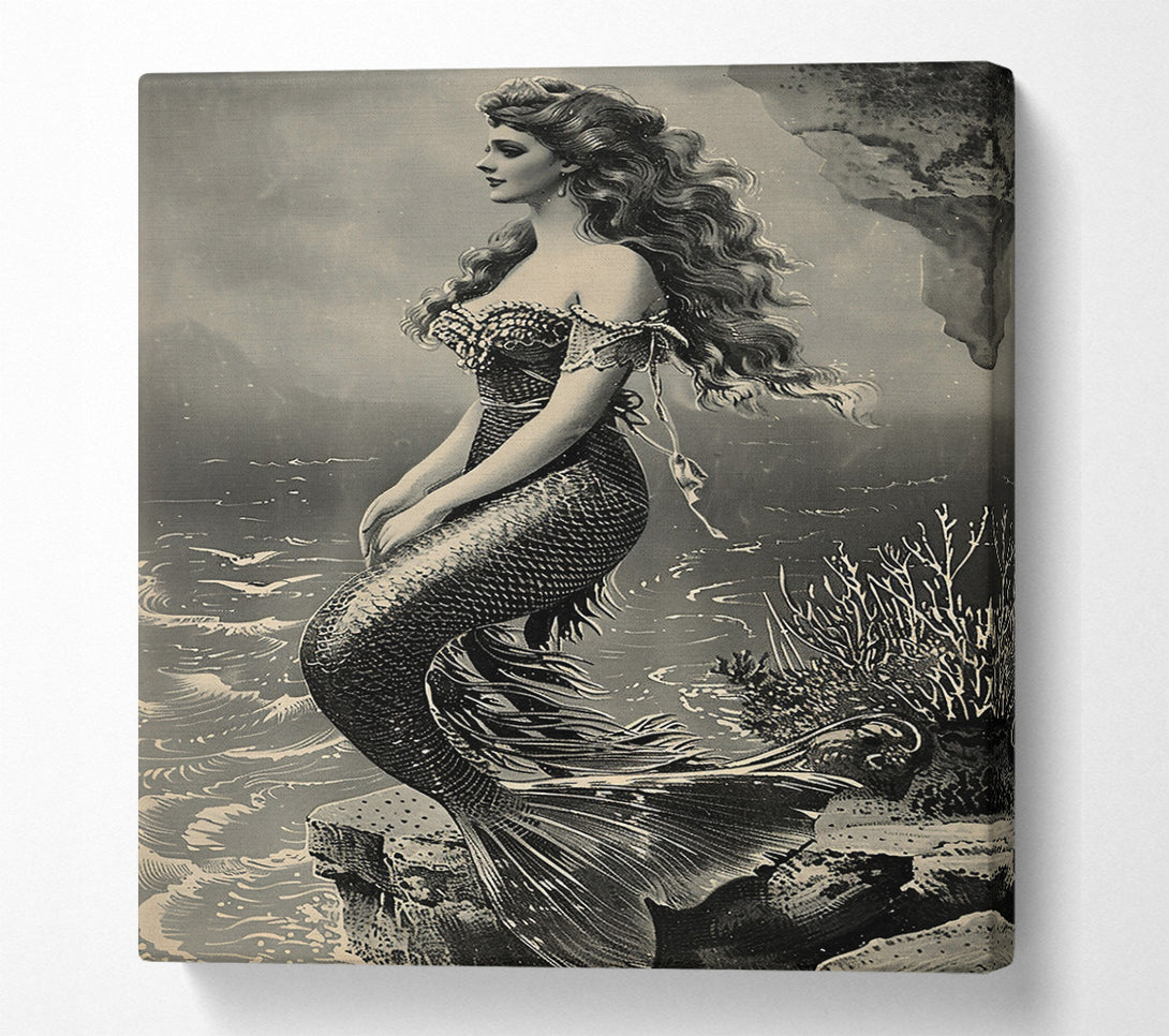  A Canvas Print of Silver-Scaled Siren Canvas Art