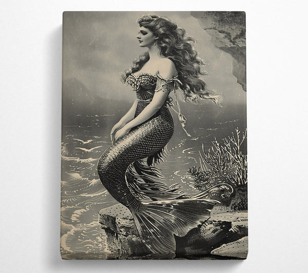  A Canvas Print of Silver-Scaled Siren Canvas Art