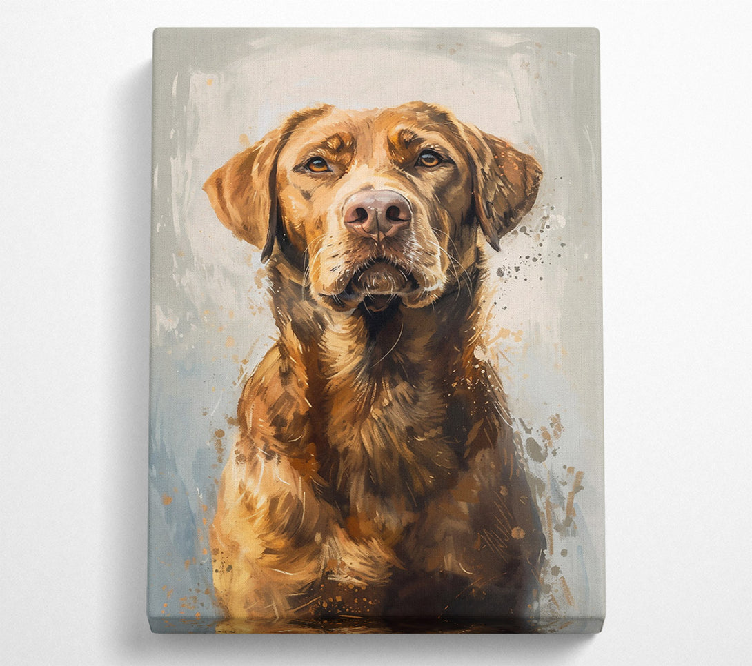  A Canvas Print of Golden Fur Portrait Canvas Wall Art
