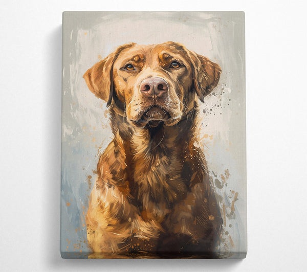  A Canvas Print of Golden Fur Portrait Canvas Wall Art