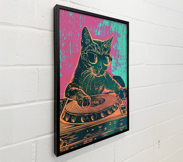 Orange Cat Dj