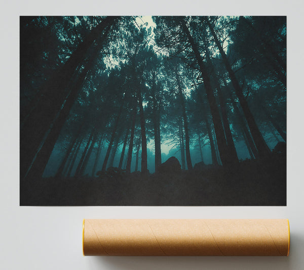 Teal Forest Shadows Giclee Print