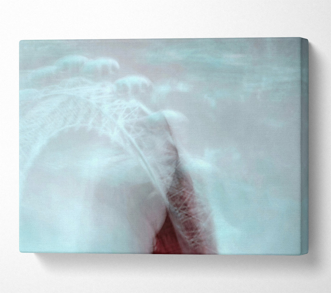  A Canvas Print of Pale Blue Memories Canvas Print