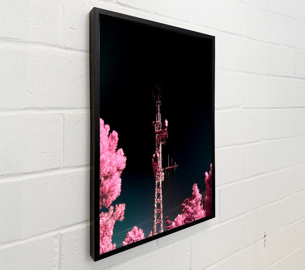 Pink Antenna Forest