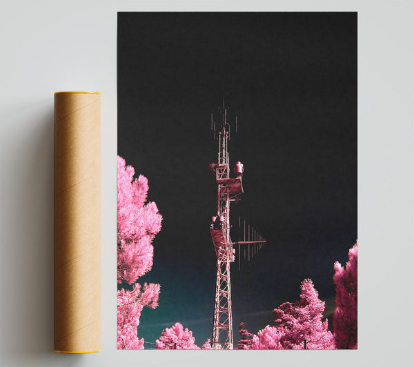 Pink Antenna Forest Print