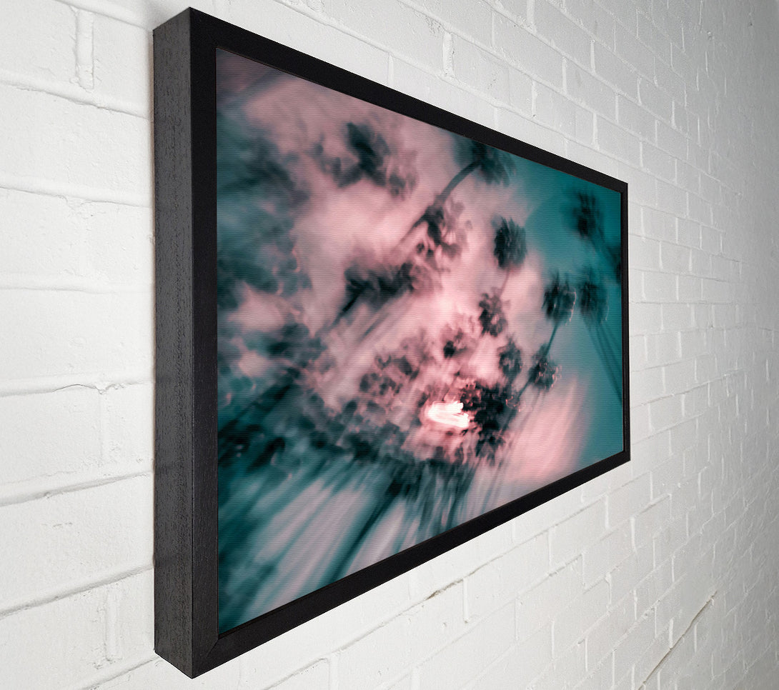  A Canvas Print of Pink Palm Haze Canvas Print