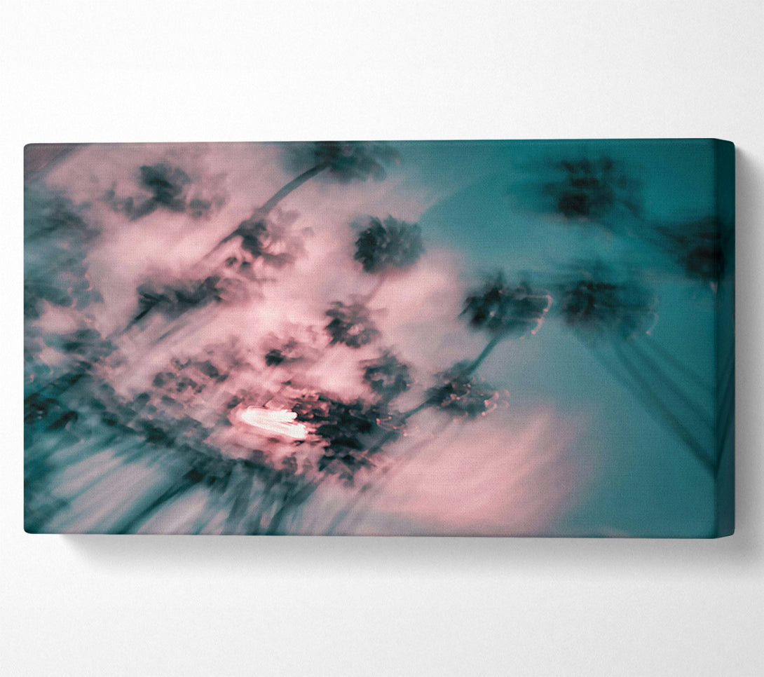  A Canvas Print of Pink Palm Haze Canvas Print