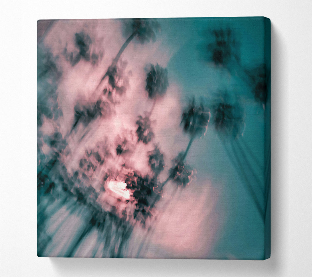  A Canvas Print of Pink Palm Haze Canvas Print