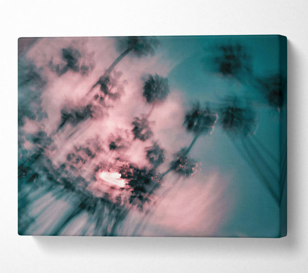  A Canvas Print of Pink Palm Haze Canvas Print