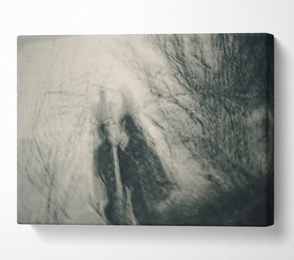  A Canvas Print of Gray Foggy Forms Canvas Wall Art