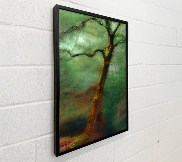 Emerald Forest Dream