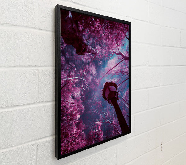 Crimson Canopy Light