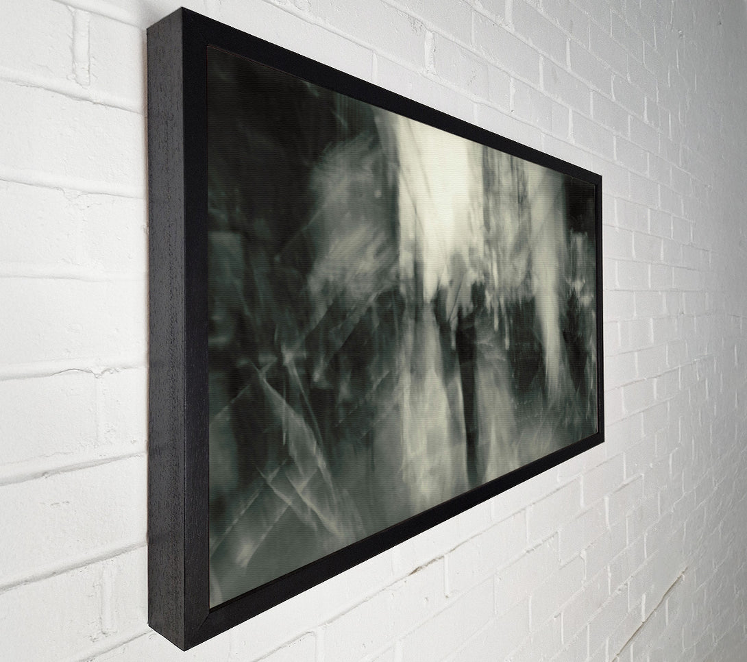  A Canvas Print of Silvery Shadow Dance Canvas Wall Art