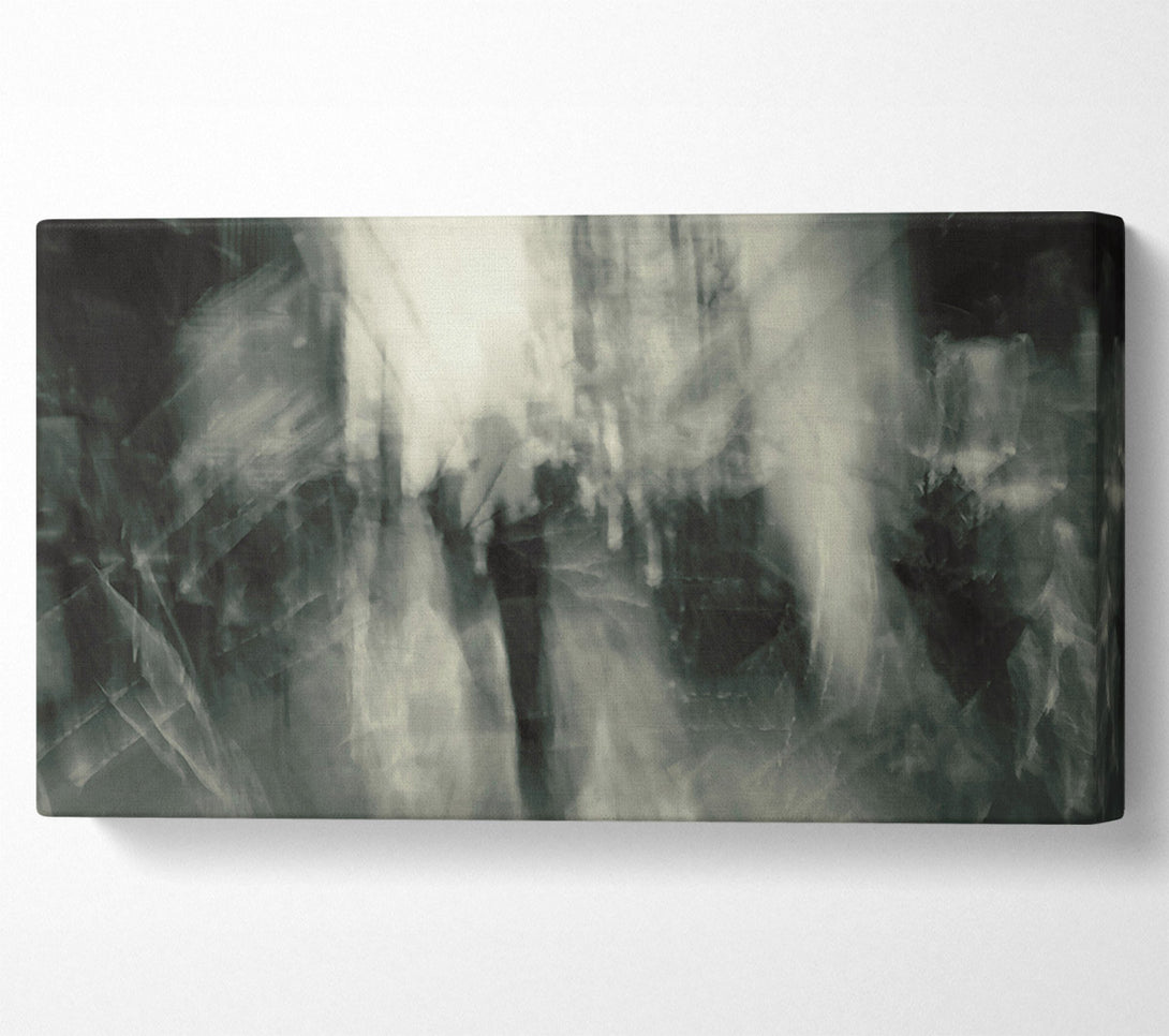  A Canvas Print of Silvery Shadow Dance Canvas Wall Art