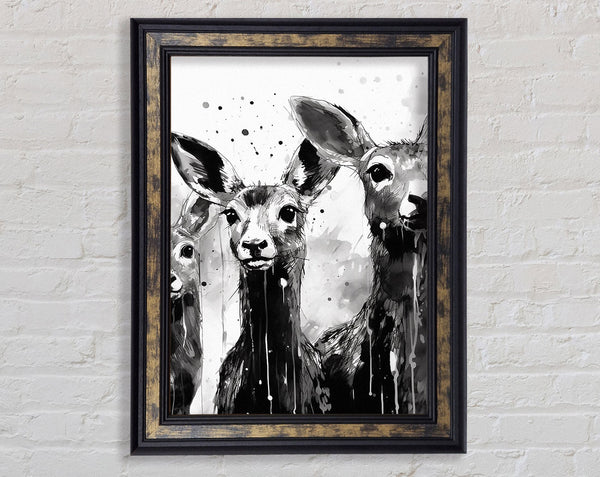Kangaroo Walnut And Walnut Framed Print
