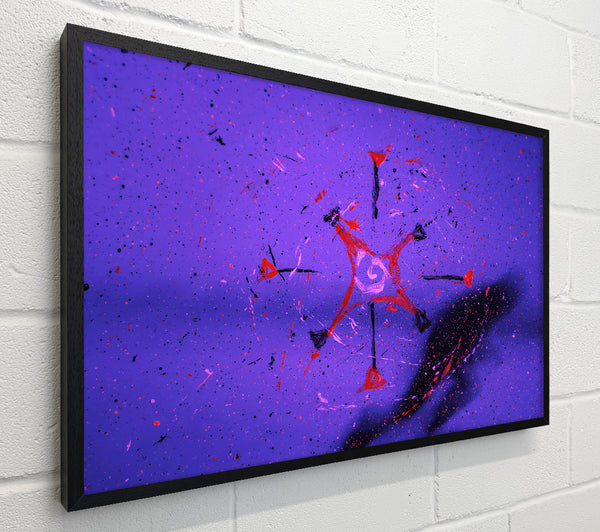 Purple Star Splashes