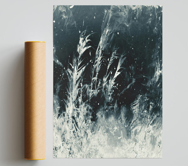 Black And White Freeze Print