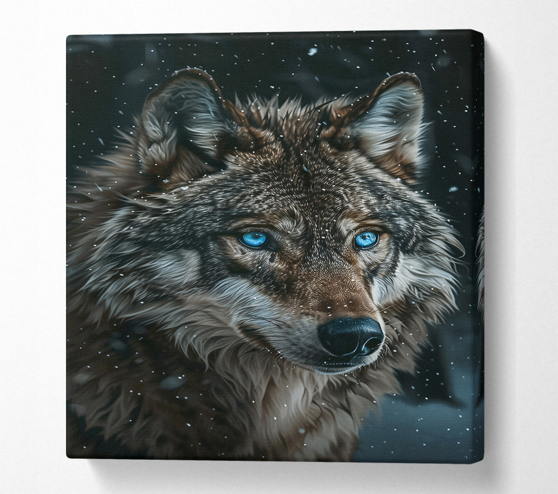  A Canvas Print of Blue Eyes In The Snow Canvas Wall Art