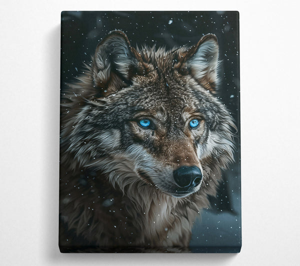  A Canvas Print of Blue Eyes In The Snow Canvas Wall Art