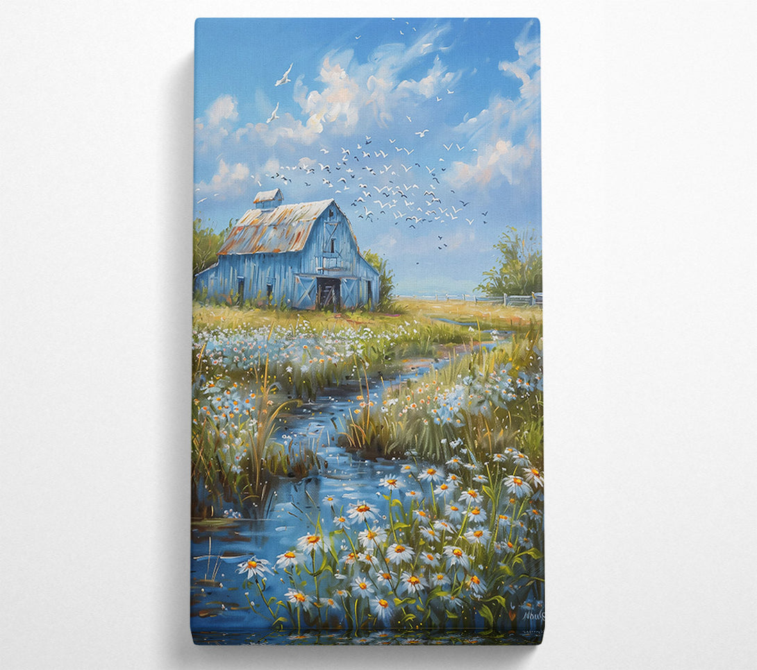  A Canvas Print of Blue Barn And Daisies Canvas Wall Art