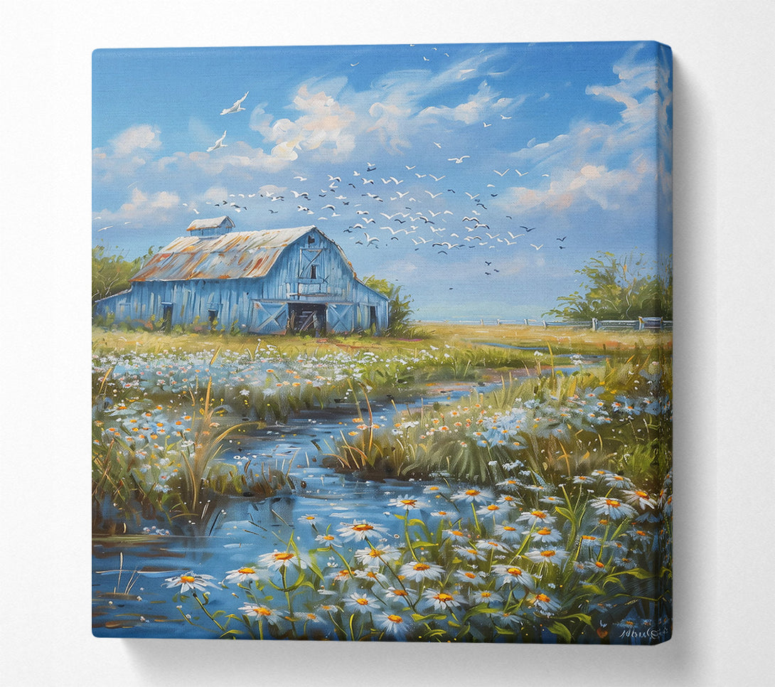  A Canvas Print of Blue Barn And Daisies Canvas Wall Art