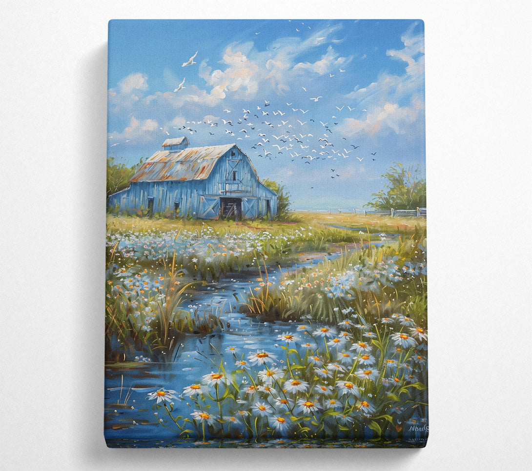  A Canvas Print of Blue Barn And Daisies Canvas Wall Art