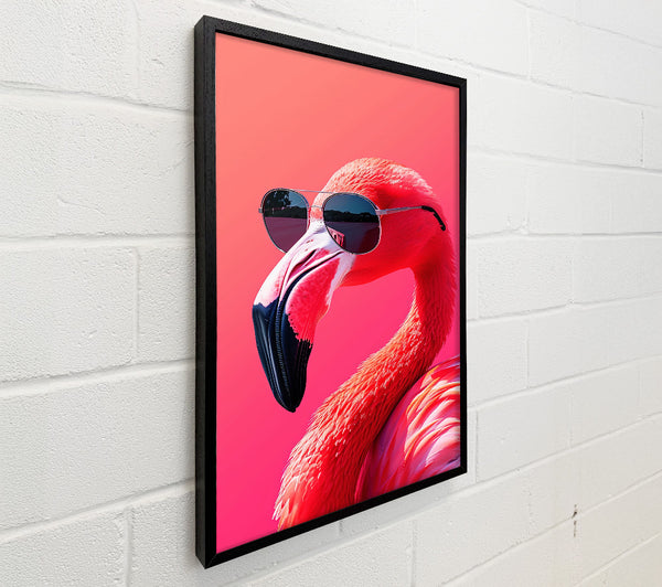 Pink Flamingo Shades