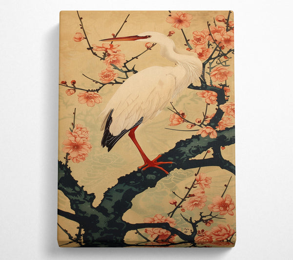  A Canvas Print of Peach And White Heron Canvas Print