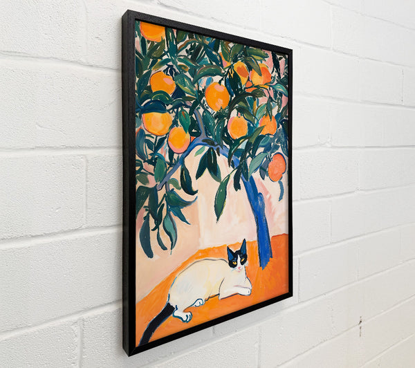 Orange Tree And Cat