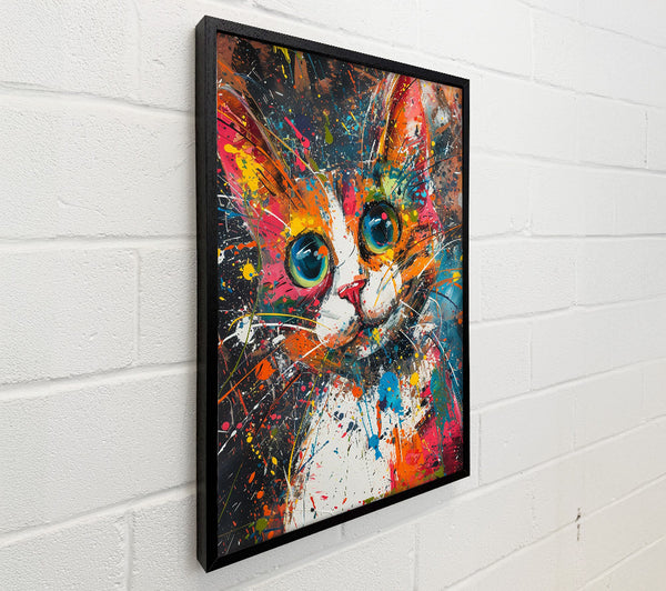 Orange Splashed Feline
