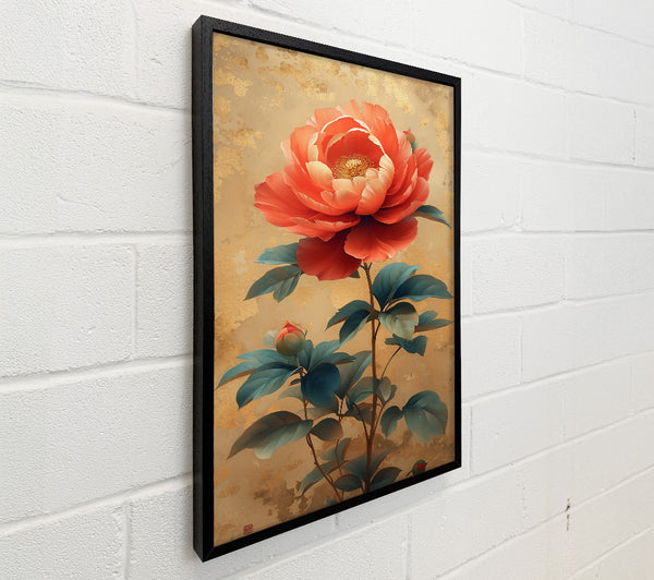Coral Peony Bloom