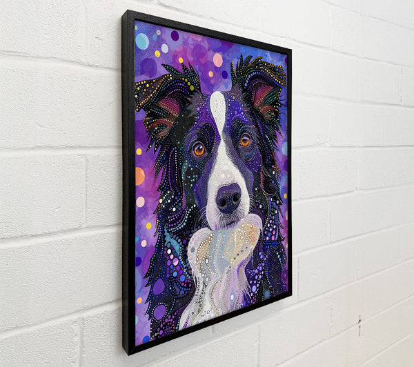 Purple Spotted Collie