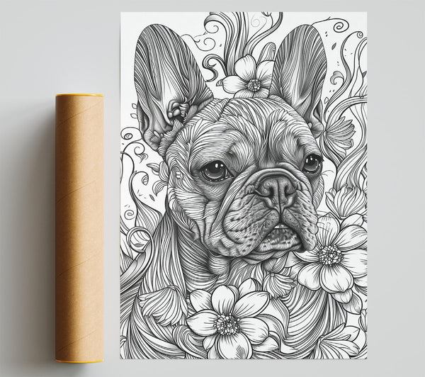 Black And White Frenchie Bloom Giclee Print