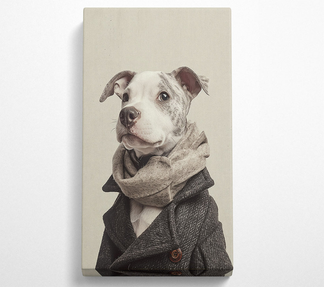  A Canvas Print of Grey Dog In A Scarf Canvas Art