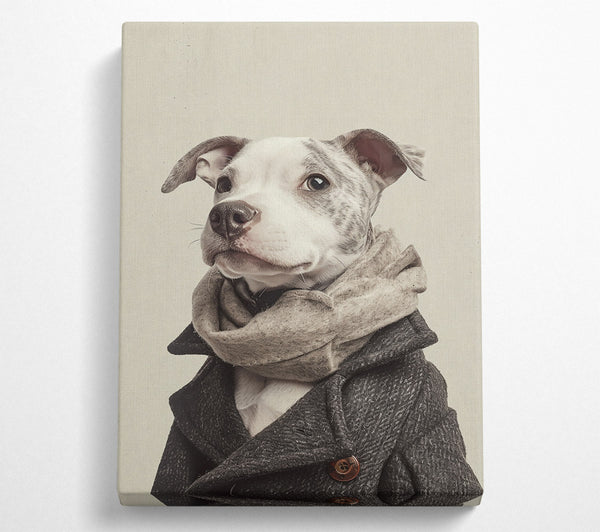  A Canvas Print of Grey Dog In A Scarf Canvas Art
