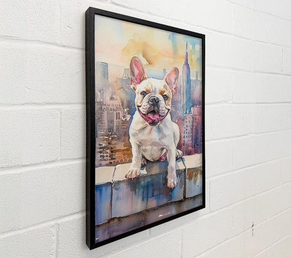 Blue City Frenchie