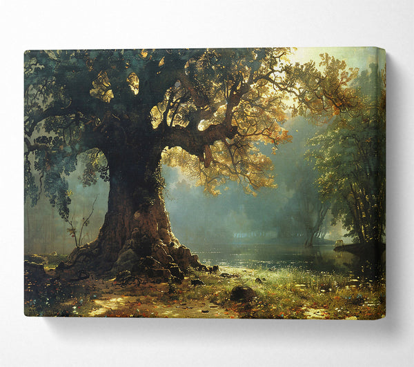  A Canvas Print of Golden Light Through Trees Canvas Wall Art