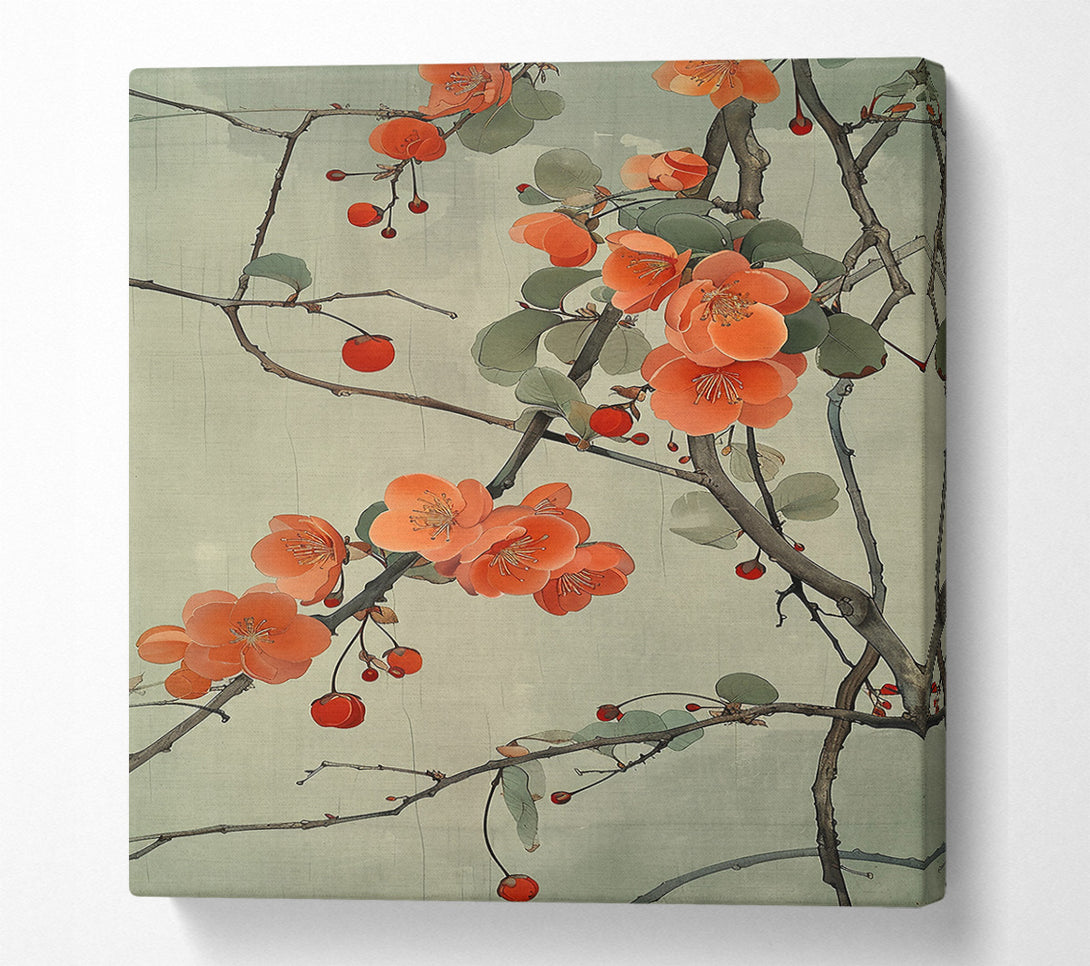  A Canvas Print of Coral Blossom Branch Canvas Print