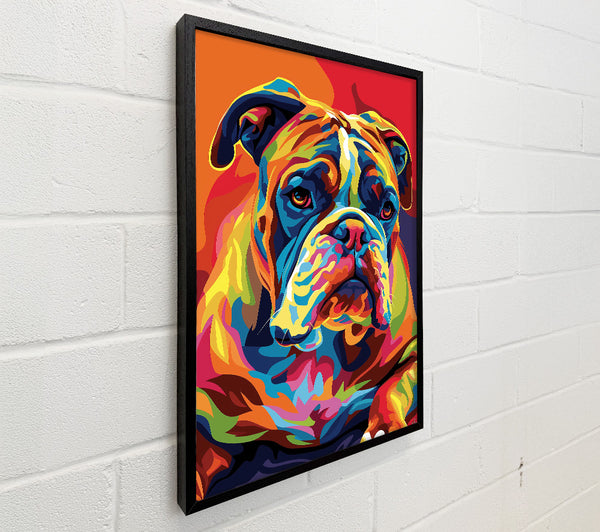 Orange Bulldog Portrait