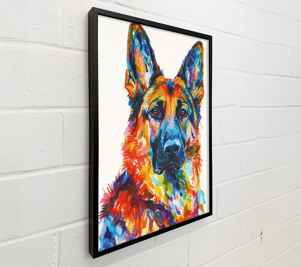 Orange German Shepherd Dream