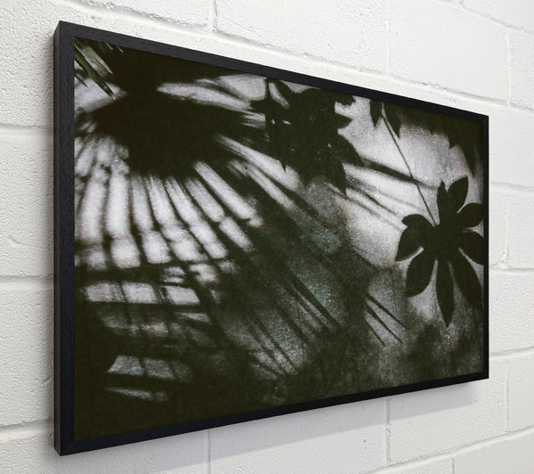 Silver Leaf Shadows