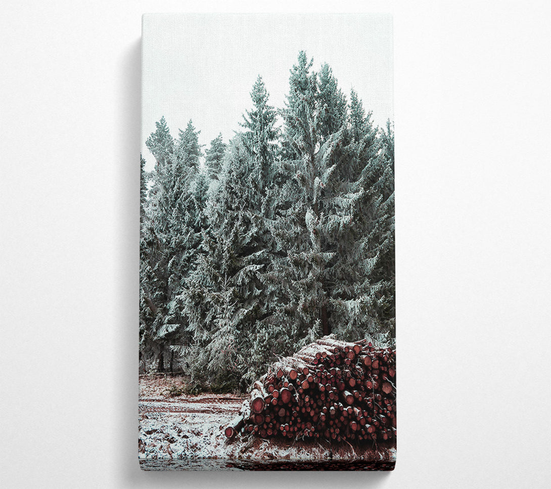  A Canvas Print of Crimson Pines In Winter Canvas Wall Art