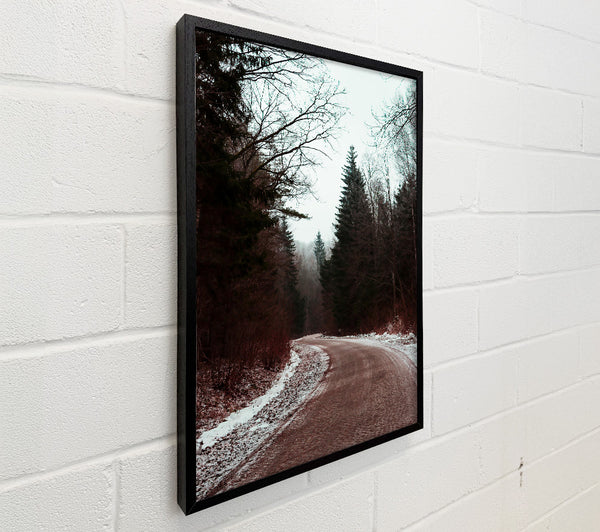 Red Forest Path