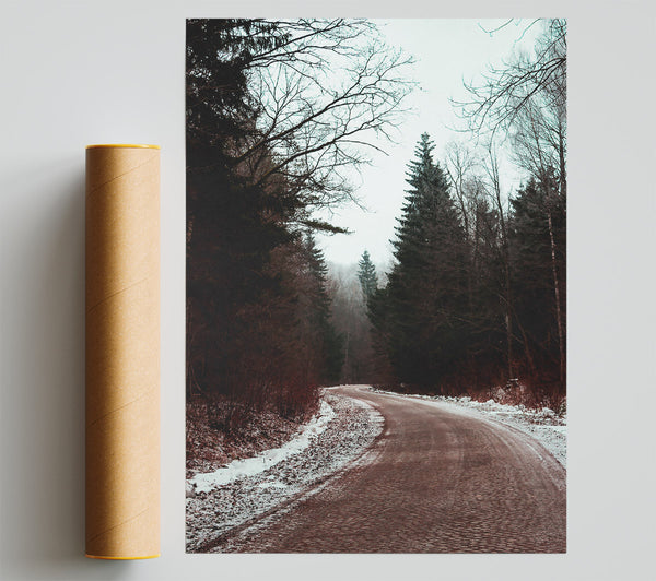Red Forest Path Giclee Print